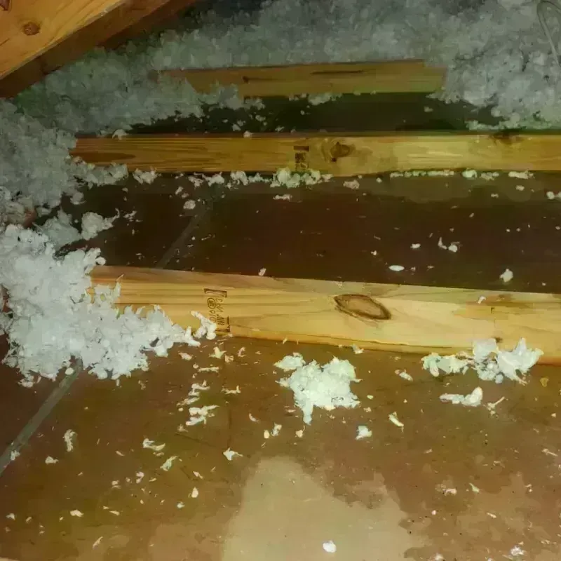 Attic Water Damage in Alcorn County, MS